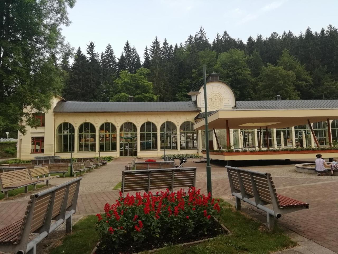 Apartman Jestrab 5 Janske Lazne Bagian luar foto